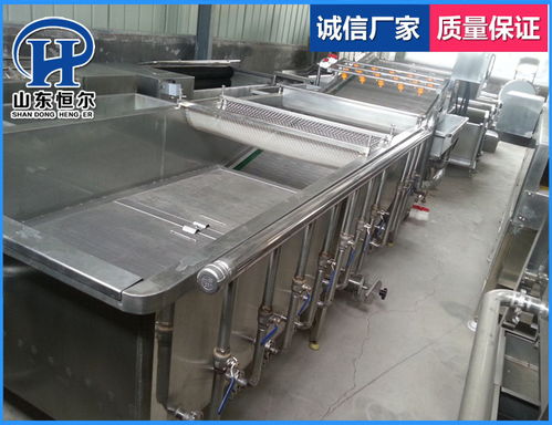 山東恒爾 多圖 苦瓜蔬菜清洗機茼蒿蔬菜清洗機